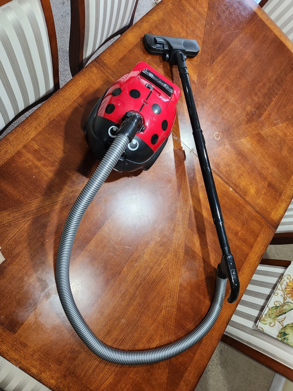 Red Ladybug-Style Vacuum Cleaner Works Great No Bags Retractable Cord.